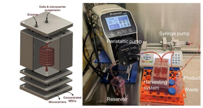 New solution for stem cell manufacturing University of